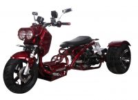 Ice Bear MADDOG 50cc Motor Trike PST50-19N Price 500usd