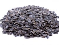 Sunflower Seeds / Sun Flower Seeds/ Ukraine 