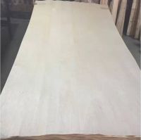 Peeled veneer from Linden