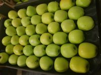Fresh Apples - Golden/Red