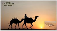 Desert Safari Dubai | Best UAE Tour Deals