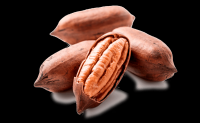 Pecan Nuts