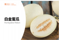 the chinese supplier of honeydew melon and export fresh melon