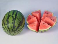 Chinese fresh fruit watermelon supplier and exporter