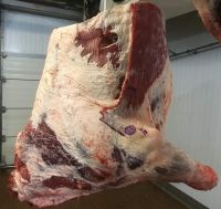 Frozen boneless beef, Frozen trimmed block second, Frozen cattle bones , frozen beef cuts