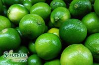 Seedless Lime Vietnam