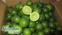 Fresh Seedless Lime