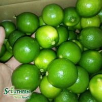 Fresh Seedless Lime