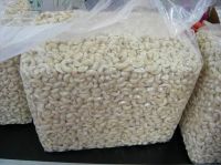 Raw and processed Cashew Nuts