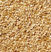 Yellow Sesame Seeds