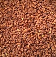 Red & Brown Sesame Seeds