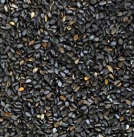 Black Sesame Seeds