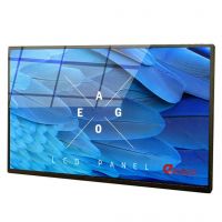 55" SNB Monitor Display