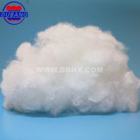 Nylon6  Staple Fiber  100d