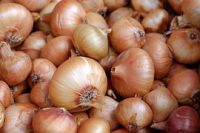 Fresh Onion