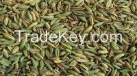 Fennel seeds