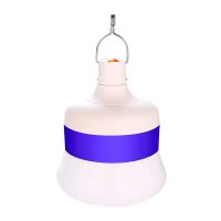 Rechargeable Led Super Bright Home Mobile Wireless Lighting Emergency Power Off Bulb
