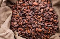 Sun Dried Cocoa Beans(Beans, juice and Powder)