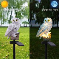 Solar Light - Solar LED -  Lamps Owl Design Lights