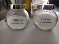 100% Natural Fish Collagen Peptide with high quality