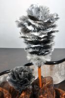 ostrich feather d...