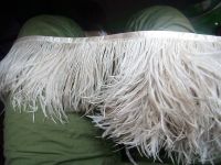 Ostrich Metric Feather