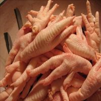 Halal Chicken Feet / Frozen Chicken Paws / Fresh chicken wings