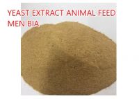 Yeast Extract Animal Feed  