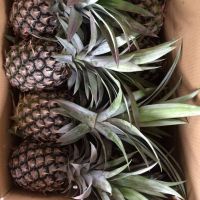 Fresh Pineapples