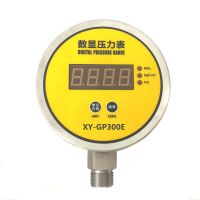 Digital Pressure Gauge XY-PG300E