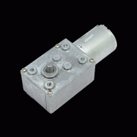 Worm Gear Motor