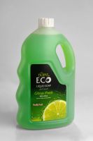 Dupas ECO Anti Bacterial Liquid Soap ALL IN ONE (For Hand, Face, Body Wash) 2500 ml