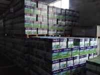 Quality Double a A4 Copy Paper A A4 Copy Paper 80gsm