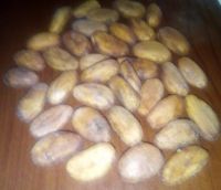 Cocoa beans