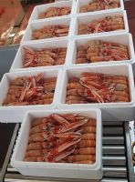 https://es.tradekey.com/product_view/Brown-Crab-Blue-Lobster-Langoustines-Razor-Clam-9222665.html