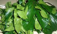 Pumkin (Ugu) Leaves