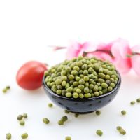 Green Mung Beans vigna beans 