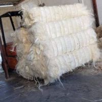 High Quality SSUG Natural sisal fiber / UG sisal fibre