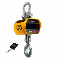 CRANE SCALE