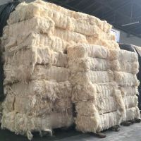 High Grade Sisal Fibre / High Quality sisal fiber / sisal fibre UG Grade Best For Sale