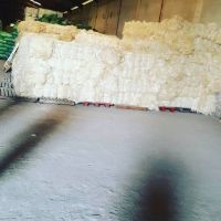 Best price ! 100% natural sisal fiber