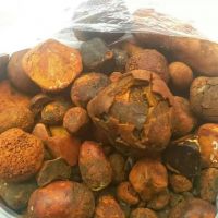 cow gallstones price per kg in south africa