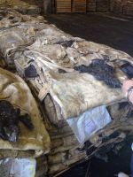 Top Selling Premium Quality Wet Salted and Dried Cow Hides and Skins from Reputed Supplier at Best Price