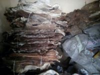 Hot sale Top Selling Premium Quality Wet Salted and Dried Cow Hides and Skins from Reputed Supplier at Best Price