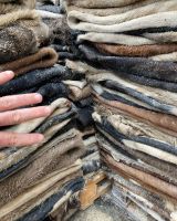 wholesale of Wet Salted Cow Hide, Genuine Cow Skin