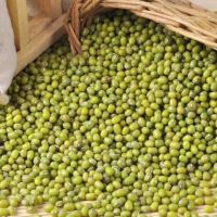 Wholesales Good Quality Green Beans Hulled Mung Beans