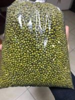 high quality moong dal price Green Mung Beans small size,2.6mm-3.5mm