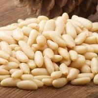 Pine Nut Kernels