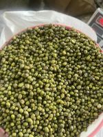 Hot Sale Highest Quality Wholesale Mung Green Beans Dried Naturally 25kg Or 30kg Woven Package Mung Beans For Food