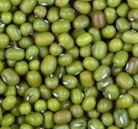 High Quality Wholesale Price Export Dry Green Mung Bean